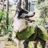 Dog Coats Small Waterproof,Warm Outfit Clothes Dog Jackets Small,Adjustable Drawstring Warm And Cozy Dog Sport Vest-(Green size L)