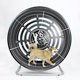 GoPet TreadWheel For Dogs (size: small)