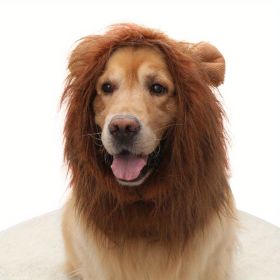 Adjustable Lion Wig with Ears for Dogs - Cute and Fun Mane Costume for Your Pet (Color: coffee, Size: L)