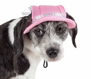 Pet Life 'Sea Spot Sun' Uv Protectant Adjustable Fashion Mesh Brimmed Dog Hat Cap (Color: Pink, Size: medium)