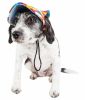 Venture Paw PULL CONTROL Harness - Sage - Not Returnable
