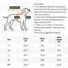 Venture Paw PULL CONTROL Harness - Aspen - Not Returnable