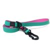 Waterproof TPU Dog Leash Set with Collar | Heavy Duty Honeycomb Texture Training Lead