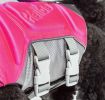 Cool Mesh Dog Harness with Leash - Pineapple Luau - Not Returnable
