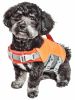 Cool Mesh Dog Harness with Leash - Pineapple Luau - Not Returnable