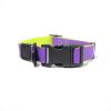 Waterproof TPU Dog Leash Set with Collar | Heavy Duty Honeycomb Texture Training Lead