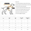 Cool Mesh Dog Harness with Leash - Surfboards and Palms - Not Returnable