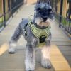 Venture Paw PULL CONTROL Harness - Aspen -- Not Returnable
