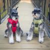 Venture Paw PULL CONTROL Harness - Aspen -- Not Returnable
