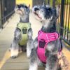 Venture Paw PULL CONTROL Harness - Aspen -- Not Returnable