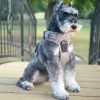 Venture Paw PULL CONTROL Harness - Sage -- Not Returnable