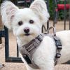 Venture Paw PULL CONTROL Harness - Sage -- Not Returnable