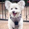 Venture Paw PULL CONTROL Harness - Sage -- Not Returnable