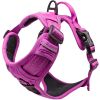 Venture Paw PULL CONTROL Harness - Wild Raspberry -- Not Returnable