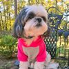 Color-Block Flex Fit Hoodie - Pink on Gray -- Not Returnable