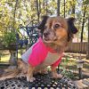 Color-Block Flex Fit Hoodie - Pink on Gray -- Not Returnable