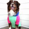 Color-Block Flex Fit Hoodie - Pink on Mint -- Not Returnable