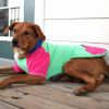 Color-Block Flex Fit Hoodie - Pink on Mint -- Not Returnable