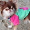 Color-Block Flex Fit Hoodie - Pink on Mint -- Not Returnable