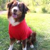 Flex-Fit Hoodie- RED -- Not Returnable