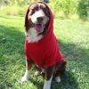 Flex-Fit Hoodie- RED -- Not Returnable