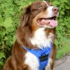 Venture Paw PULL CONTROL Harness - Mountain Lake -- Not Returnable