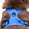 Venture Paw PULL CONTROL Harness - Mountain Lake -- Not Returnable