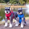 Venture Paw PULL CONTROL Harness - Mountain Lake -- Not Returnable