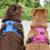 Venture Paw PULL CONTROL Harness - Mountain Lake -- Not Returnable