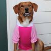 Color-Block Flex Fit Hoodie - Pink on Pink -- Not Returnable
