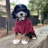 Soft Plush Pullover Burgundy -- Not Returnable